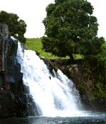 Водопад на севере о. Маврикий. Нажмите для увеличения фотографии