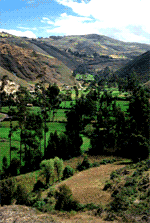 Пейзаж в окрестностях Кахамарки. Нажмите для увеличения фотографии.